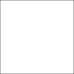 WHITE (1293)